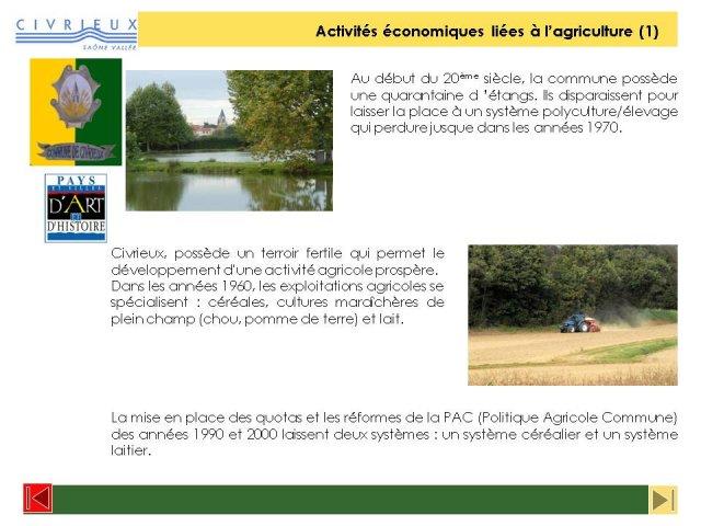 phocathumbldiapositive10