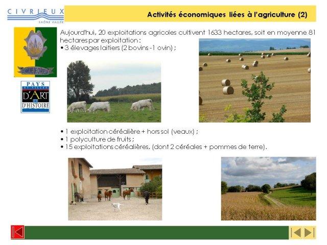 phocathumbldiapositive11